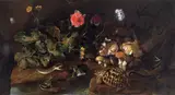 Paolo Porpora, Still life with a snake, frogs, tortoise and a lizard