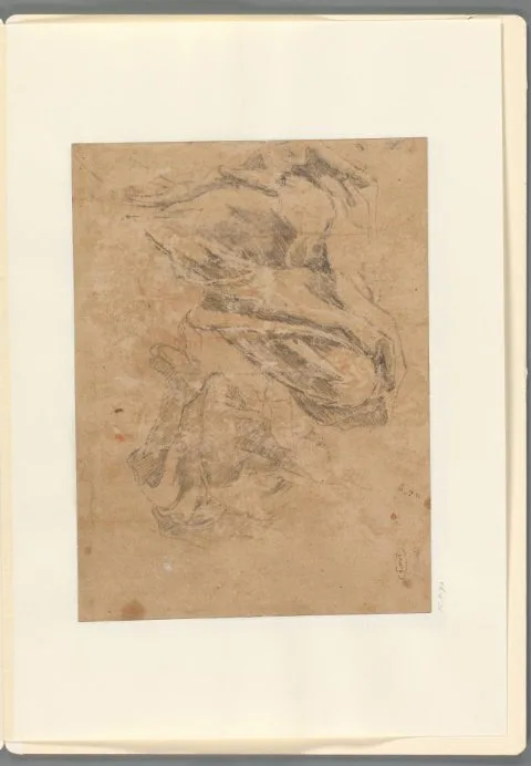 Gregorio De Ferrari, Studies van benen