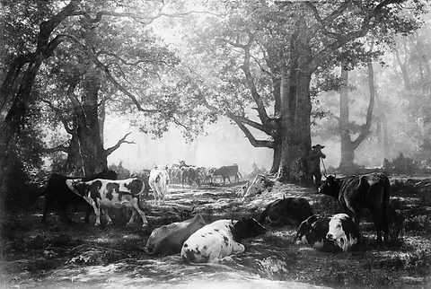 Auguste Bonheur, Environs of Fontainebleau: Woodland and Cattle