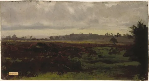 Auguste Bonheur, Marshlands