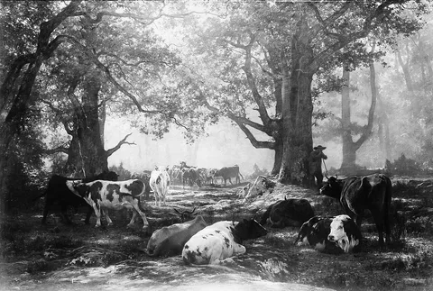 Auguste Bonheur, Environs of Fontainebleau: Woodland and Cattle