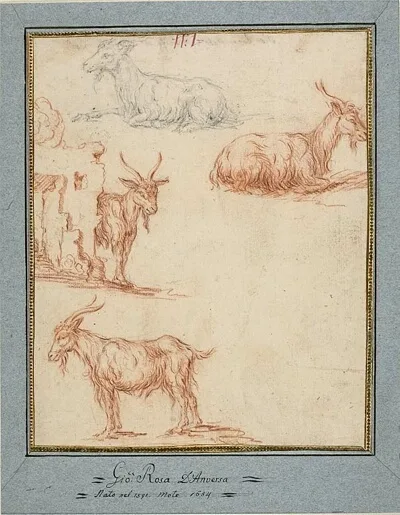 Jan Roos, Studies of Goats