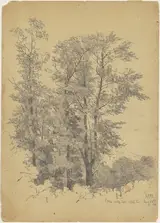 Andrew Fisher Bunner, Oaks, Wolf Hill, Ulster County