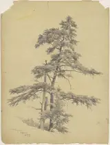 Andrew Fisher Bunner, Trees, West Virginia