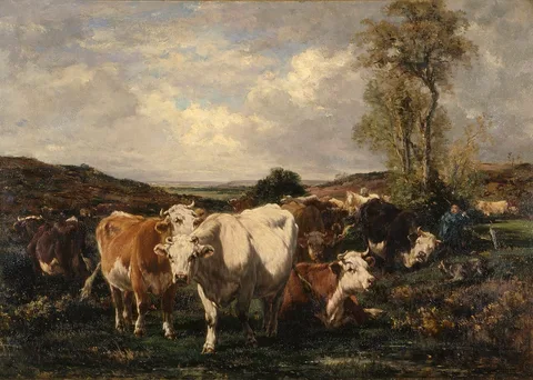 Marie Diéterle, Herd