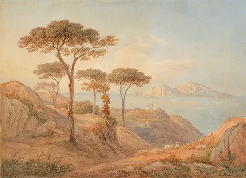 Rudolf Müller, Untitled
