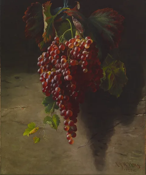 Andrew John Henry Way, Bunch of Grapes