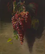 Andrew John Henry Way, Bunch of Grapes