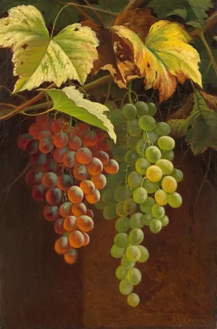 Andrew John Henry Way, Two Bunches of Grapes