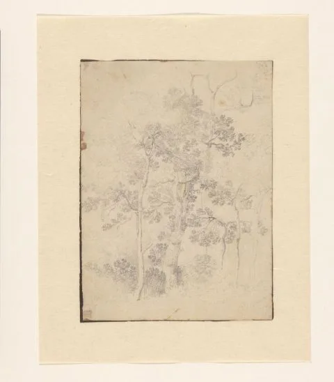 Jan Looten, Boomstudie