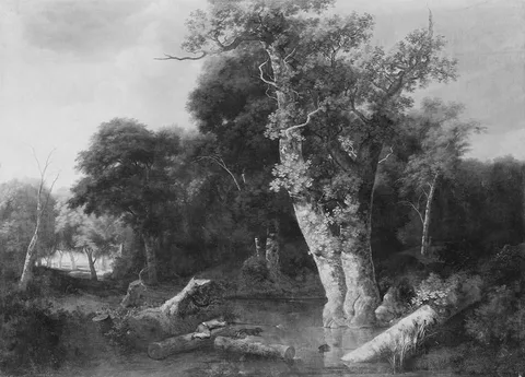 Jan Looten, Untitled