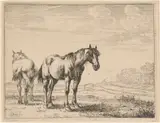 Dirk Stoop, Two Plow Horses Standing in a Field