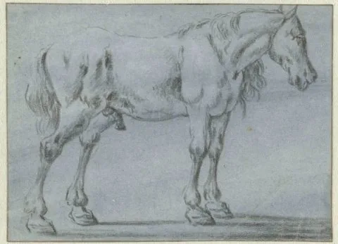 Dirk Stoop, Staand paard, naar rechts