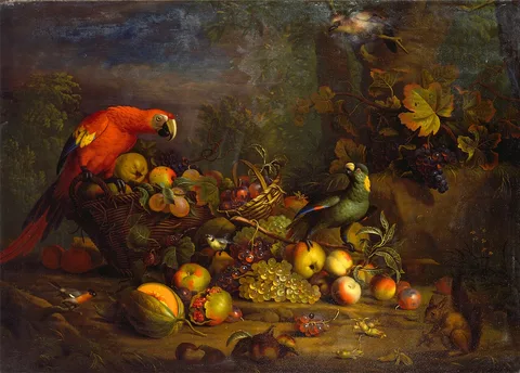 Tobias Stranover, Scarlet Macaw, Yellow-naped Amazon, Eurasian Bullfinch, Blue Tit, Eurasian Jay, and Red Squirrel with Fruit