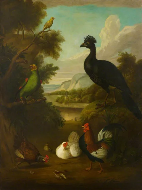 Tobias Stranover, Canary, Green Parrot and Other Birds in a Landscape