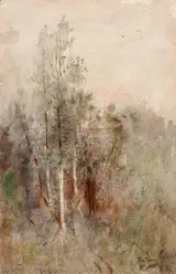 Ross Turner, A Tree Study