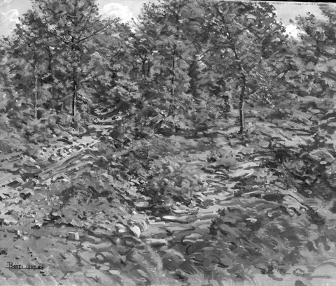 Edward Darley Boit, Rocky Hillside