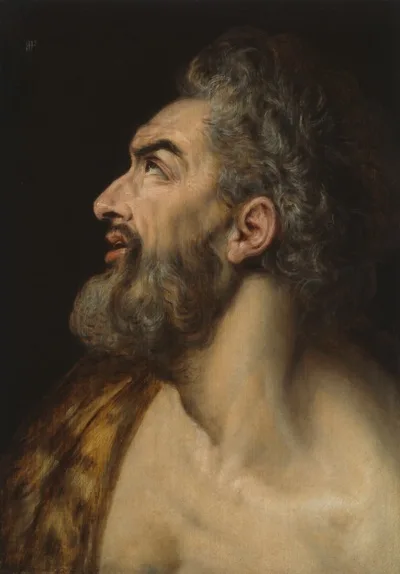 Frans Floris, Study Head of a Bearded Man