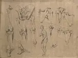 Johann Conrad Zeller, Bones of the pelvis, scapula, hip, knee and elbow joints, with a figure of the Capitoline Venus and a faint sketch of a male nude
