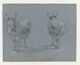 Abraham Jansz Begeyn, Two Studies of a Donkey, Seen from the Front and Behind