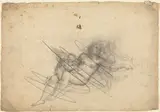Giulio Campi, Venus and Cupid