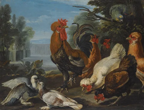 David de Coninck, A cockerel, hens, doves and a parrot in a formal garden setting