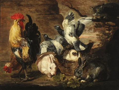 David de Coninck, Poultry and rabbits