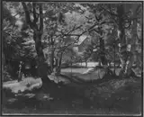 Ludwig Thiersch, Untitled
