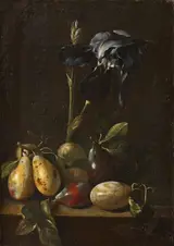 Pietro Paolo Bonzi, Still Life with an Iris and Plums