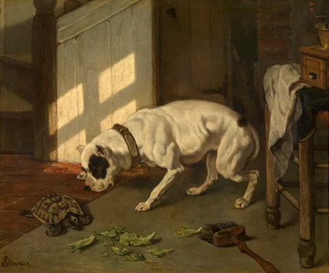 Joseph Stevens, Dog with Tortoise