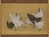 Mori Sosen, Silkies