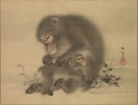 Mori Sosen, Monkeys