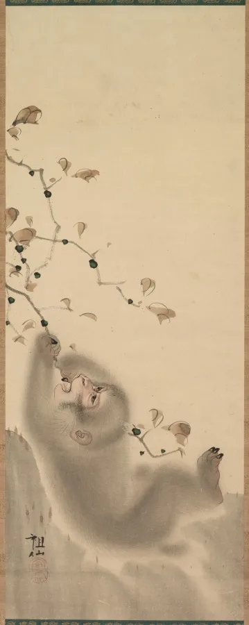 Mori Sosen, Monkey Hanging on to a Branch