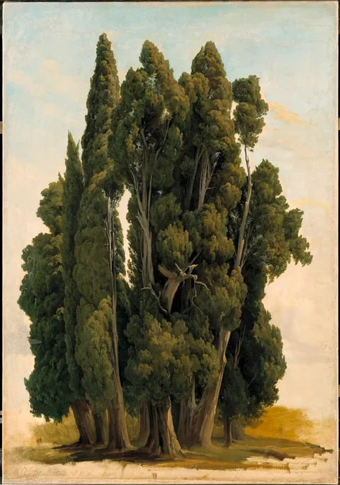 Gustaf Wilhelm Palm, Cypresses. Study