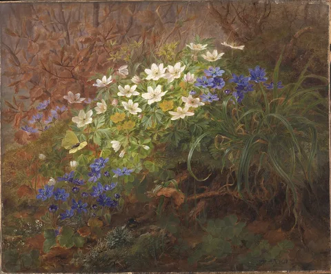Anthonore Christensen, Anemoner