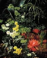 Anthonore Christensen, Agaves, waterlilies and parasol plants near a pond.
