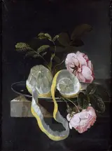 Cornelis Kick, Still Life with a Lemon and pink Roses