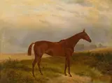 James Walsham Baldock, 'Mountain Dew'