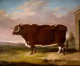 Thomas Walker Bretland, Longhorn Cow