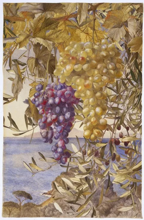 Henry Roderick Newman, Grapes and Olives