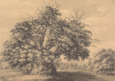 Thomas Hearne, The Chestnut Tree at Little Wymondley, Hertfordshire