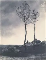 Eugène Cuvelier, Près de la Caverne, Terrain Brûlé
