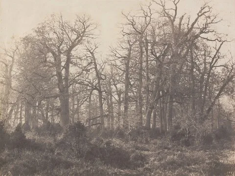Eugène Cuvelier, Carrefour de l'Epine