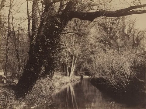 Eugène Cuvelier, Parc de Courances