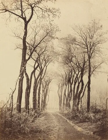 Eugène Cuvelier, Road and Trees with Hoarfrost