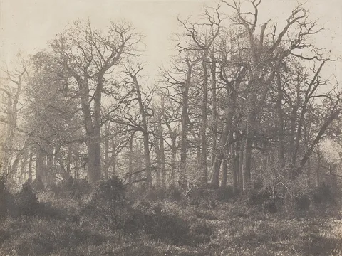 Eugène Cuvelier, Carrefour de l'Epine