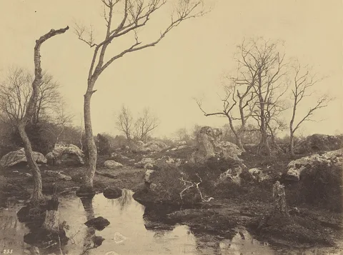 Eugène Cuvelier, Belle Croix