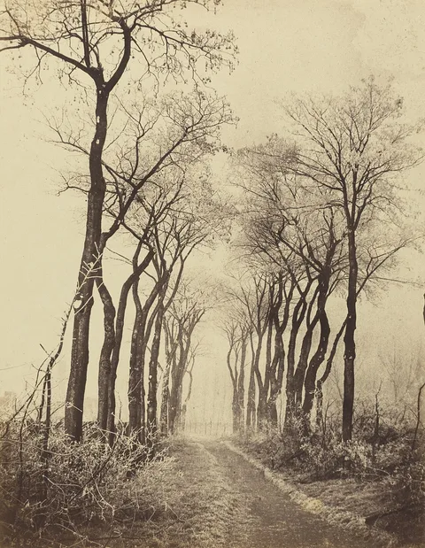 Eugène Cuvelier, Road and Trees with Hoarfrost