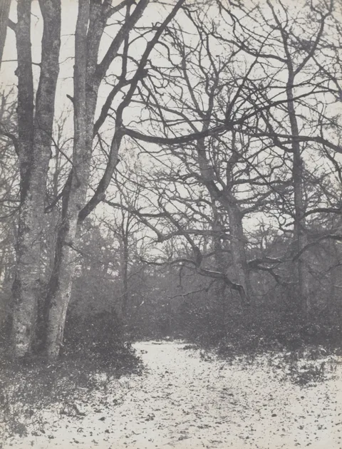 Eugène Cuvelier, Road in the Forest