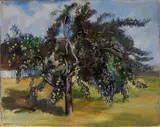 Otto Emil Johansen, The Apple Tree